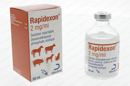 RAPIDEXON 2 MG/ML SOLUTION INJECTABLE