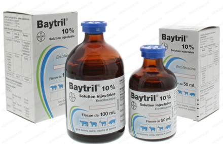 BAYTRIL 10 % SOLUTION INJECTABLE